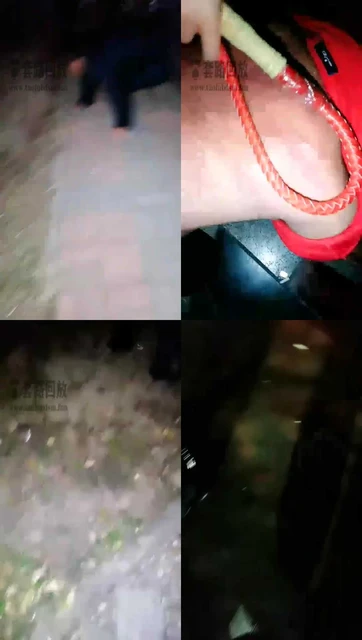 【嘉馨女王】户外带狗奴出来溜溜，镣铐！皮鞭专场！