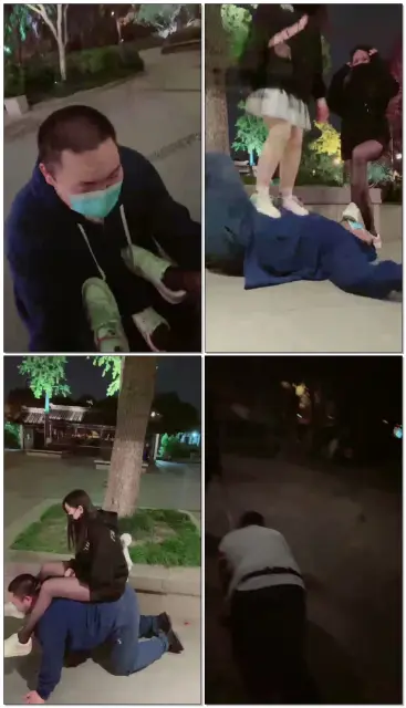 【苏州梦妍S】户外玩狗