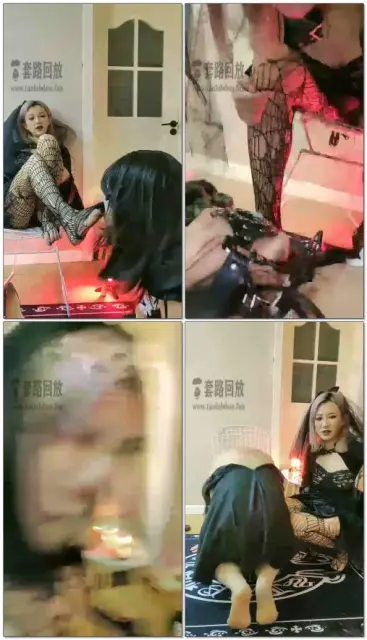 【混血s丝洛】吸血鬼女王和猪女仆