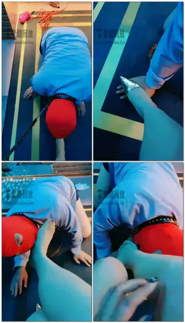 【东营天香百合】SB玩物