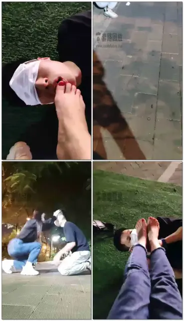 【御严s】御姐户外首调（梵高）