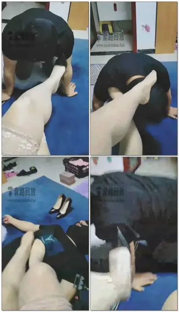 【魔鬼天使女王】虐狗