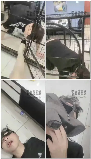 【无情大人】新买的狗笼养狗现场直播