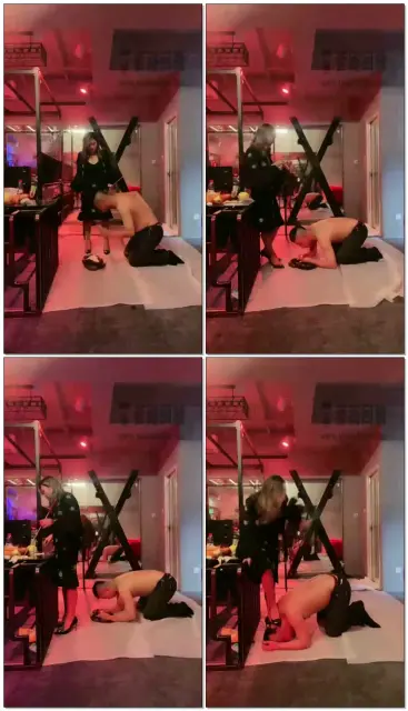 【成都六姐】垃圾桶满了叫个畜生来吃干净