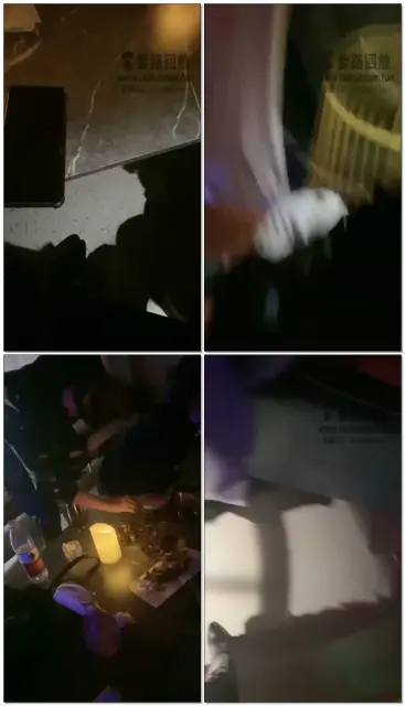 【小拽主人】玩儿小件狗