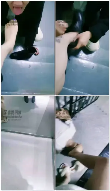 【郑州清欢S】大半夜遛狗，楼道风波