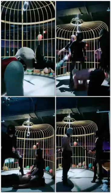 【糖糖的小姨】酒吧双主调狗