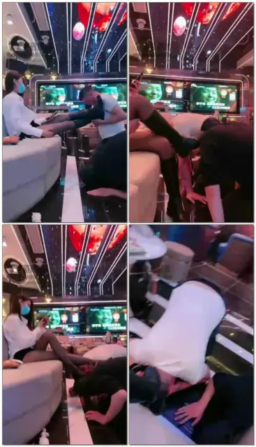 【梦涵MH】狗子们的幸福时光！