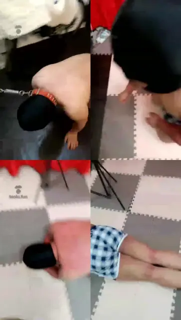 【竺南宫】 治疗圈养狗子各种不舒服 