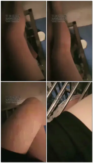 【成都楼兰】关了条狗