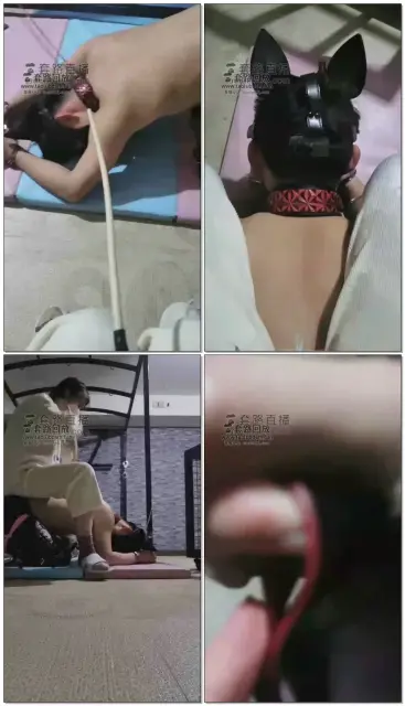 【s夏夏绳缚】两个圈养狗子