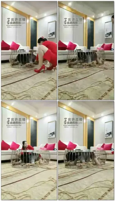 【女绳小花】酒店茶几当道具