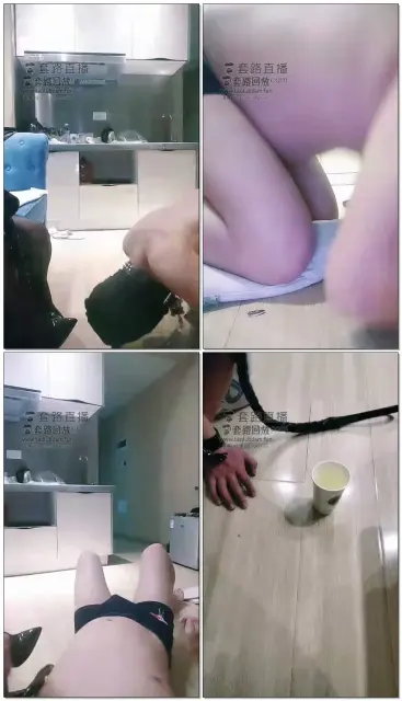 【s姑姑】圈养奴的一天