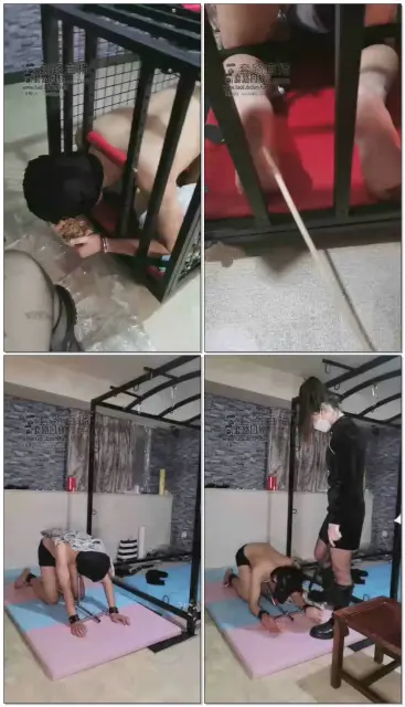 【s夏夏绳缚】圈养狗的生活