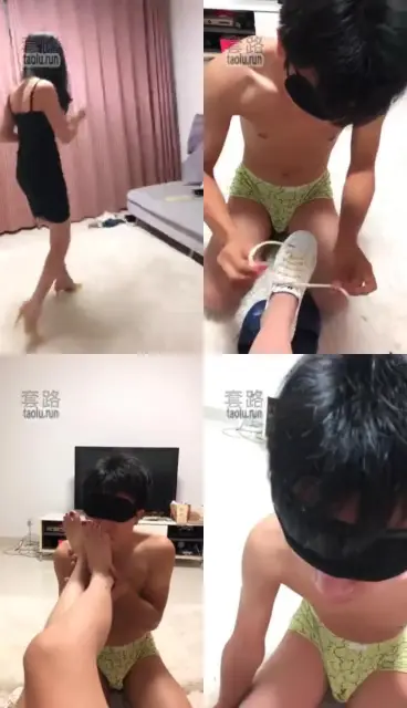 【汐月】派任务给萌新笨狗狗 