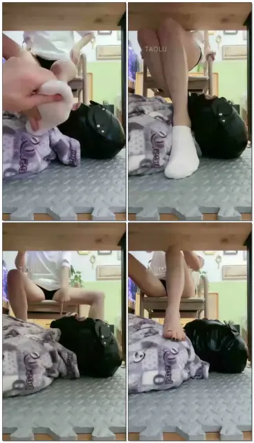 【曦晨S】新年地毯小狗垫神秘视角无限遐想