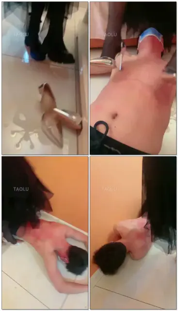 【逗逗s】他们竞然敢调戏我老大跑了给弟弟踩死！