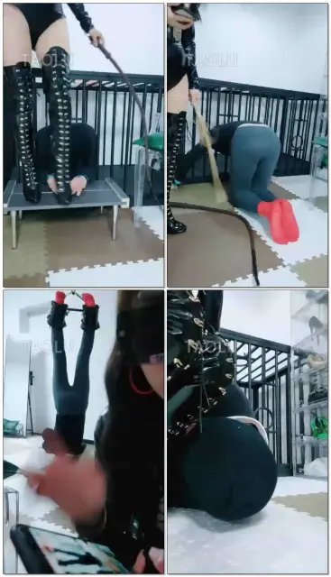 【睸娘s】圈养鞭打