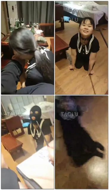 【天津欲念s】携小狗子给大家拜年了