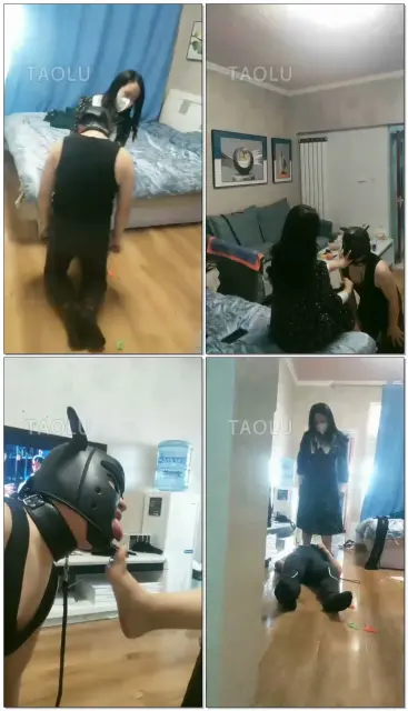 【情侣月儿s】像狗一样的爬过来