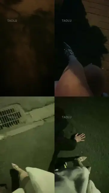 【樱桃大大】一场说走就走的遛狗