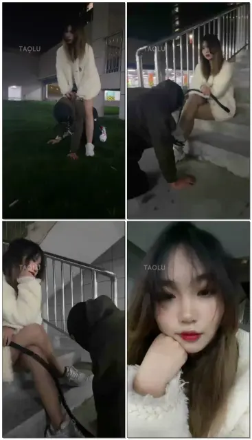 【关关S】户外溜溜狗