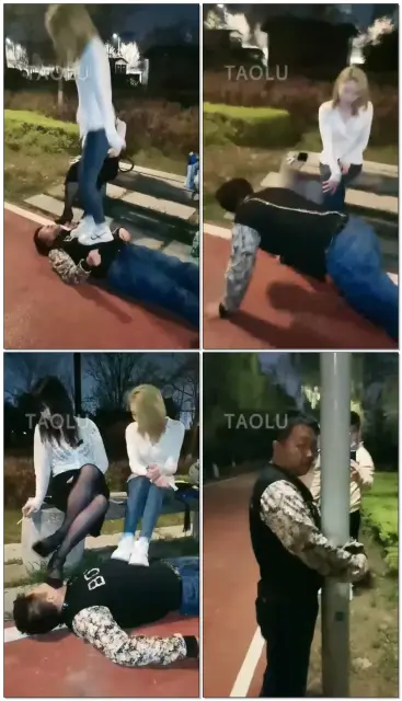 【紫烟s&稚S】双S户外玩狗