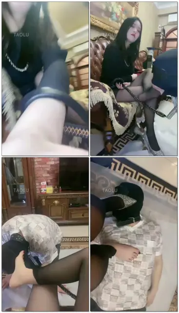 【安黎女主】贱狗舔主人玉足