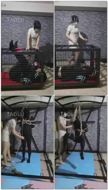 【s夏夏绳缚】狗笼，捆绑