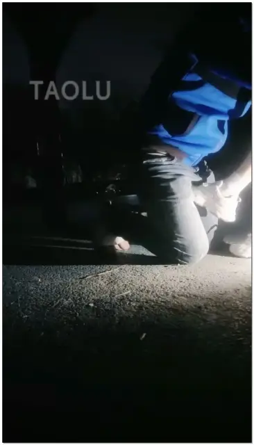 【夜伴s】深夜户外公园调狗