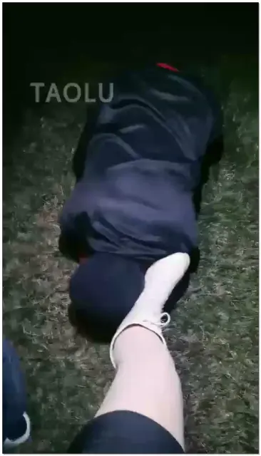 【语晴】狗畜牲千里跪求舔裸足