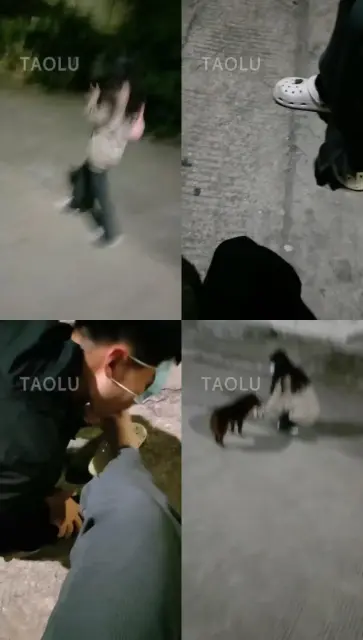 【梵高】户外小羊姐姐（二）