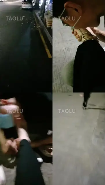 【梵高】户外小羊姐姐（一）