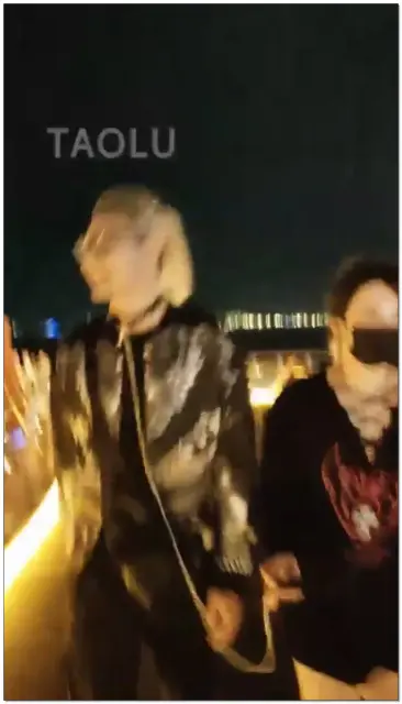 【术秋夜深了】真正的海边景点户外牵绳散步