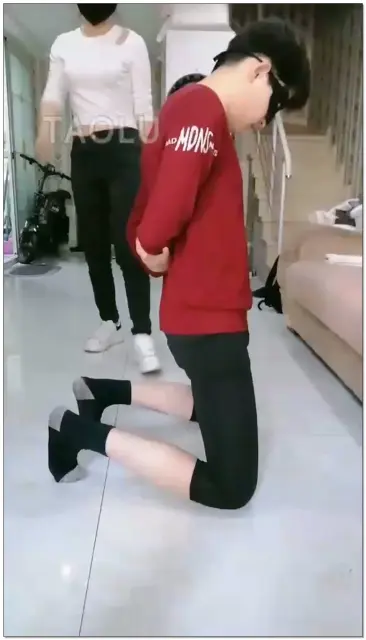 【傲柔】双s重度T当，踏当，T肚子，T到磕头求饶