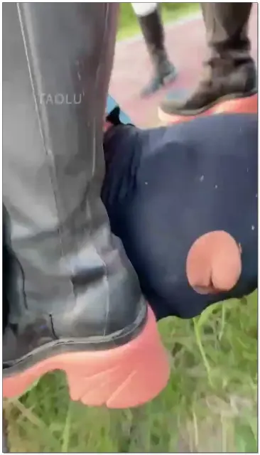 【二宝ss】175天赋素人天生拿捏骑马精髓，十足的马上女皇贵族派