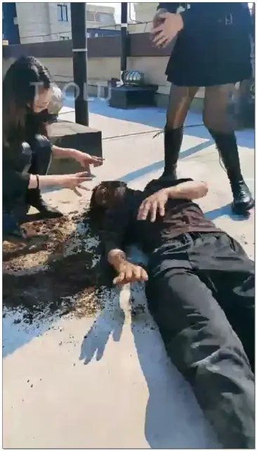 【Audrey丶雪儿】在天台玩玩狗子，把天台上的土拿牛奶和泥。让狗子都吃了