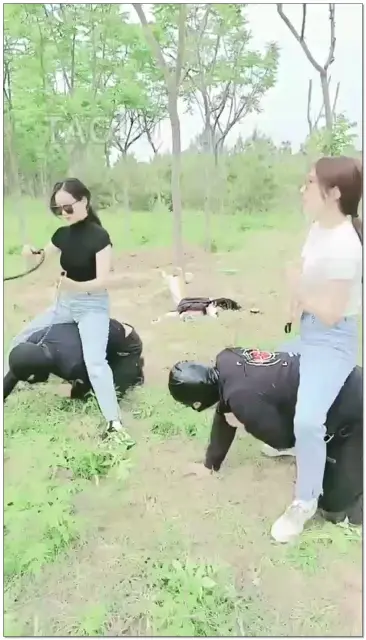 【药神V&美帝y】户外遛狗骑马比赛白棉袜双主混合双打