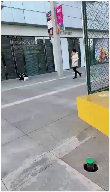 【二宝ss】强制狗跪商场门口，路人无数，强制见美女磕头要钱，见情侣唱歌跪拜