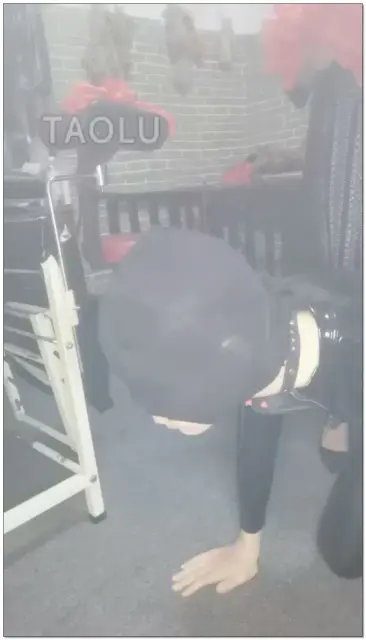 【雾凌霜寒S】小恶魔项园控制小奶狗