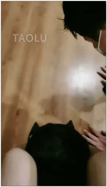 【海绵大大s】调教双狗