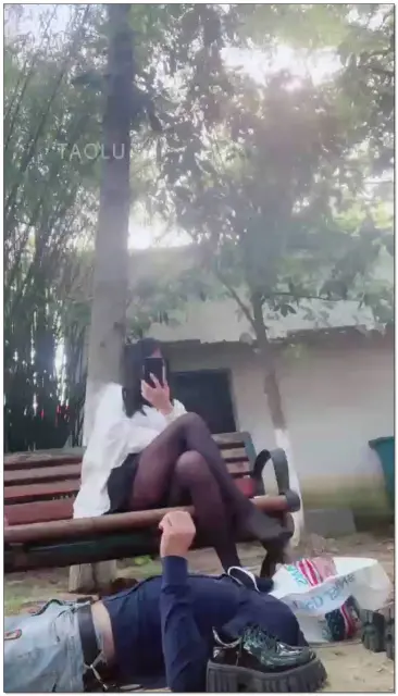 【桃子老师】户外调狗