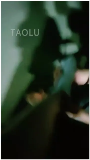 【魅影女神】户外遛狗，闻脚，舔脚