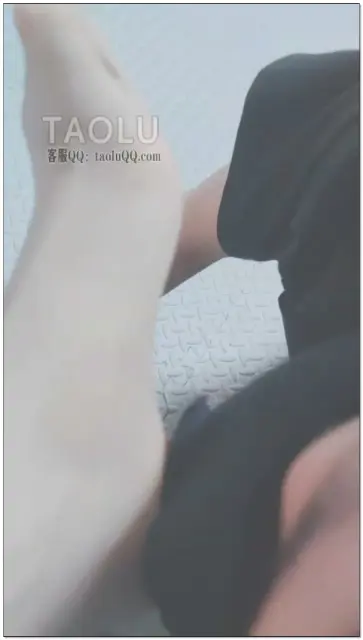 【兰芯大大】调教恋足狗