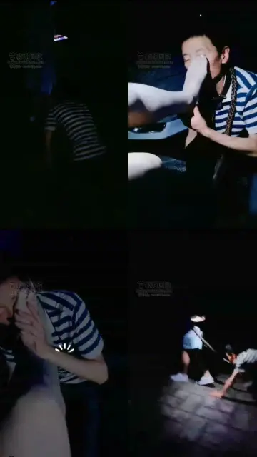 【BIBI团】下雨天在户外调狗