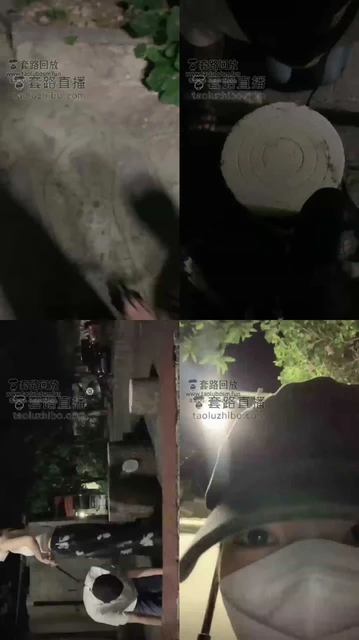 【宝爷Li】户外遛狗