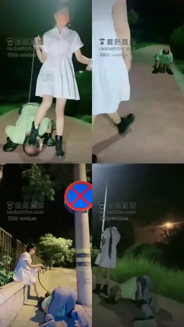 【美离子】调教还是户外刺激，深夜夜路遛狗