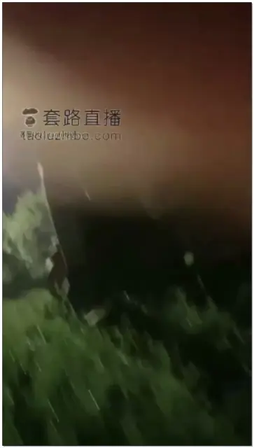 【予涵S】深夜户外调