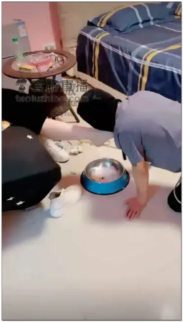 【夏娃】全体重吃食，鞭打，提档，羞辱，烟灰缸