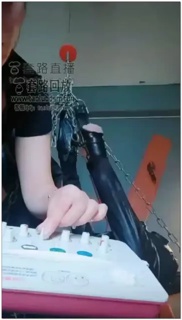 【东营天香百合】吊床虐狗